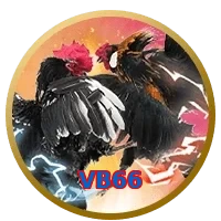 VB66