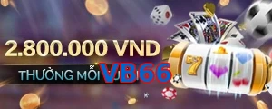 VB66