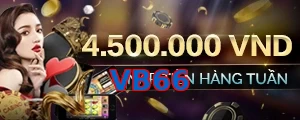 VB66