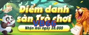 VB66