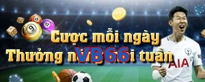 VB66