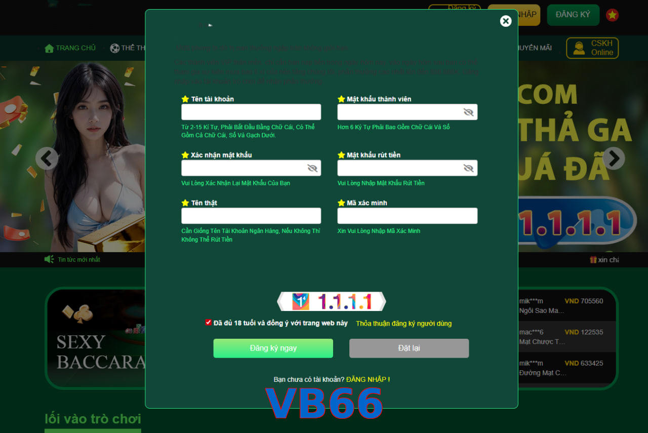 VB66